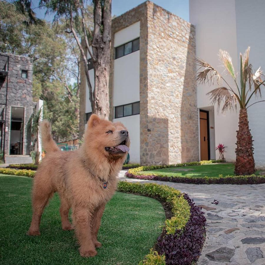Hotel Boutique Camino Del Bosque By Rotamundos Cholula Exteriör bild